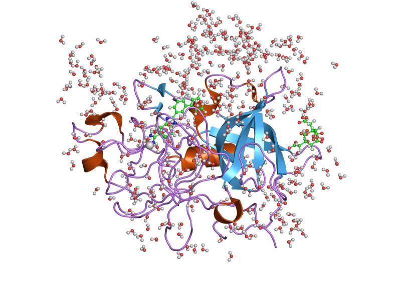 File:PDB 1gjb EBI.jpg