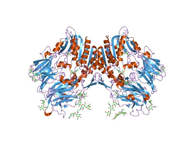 File:PDB 1n1m EBI.jpg