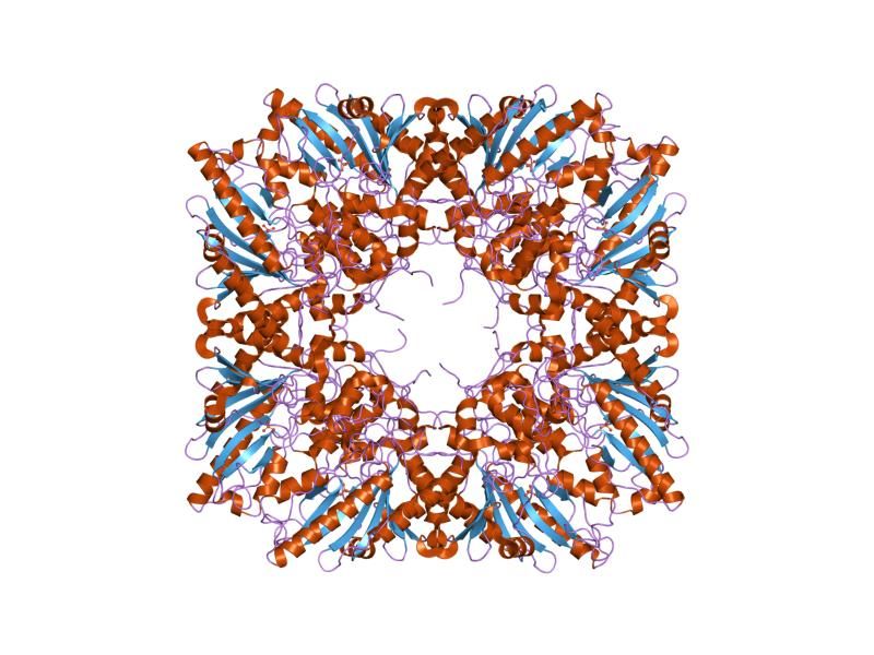 File:PDB 1qk1 EBI.jpg