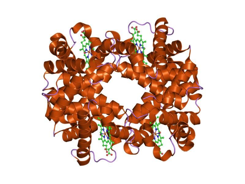 File:PDB 1rps EBI.jpg