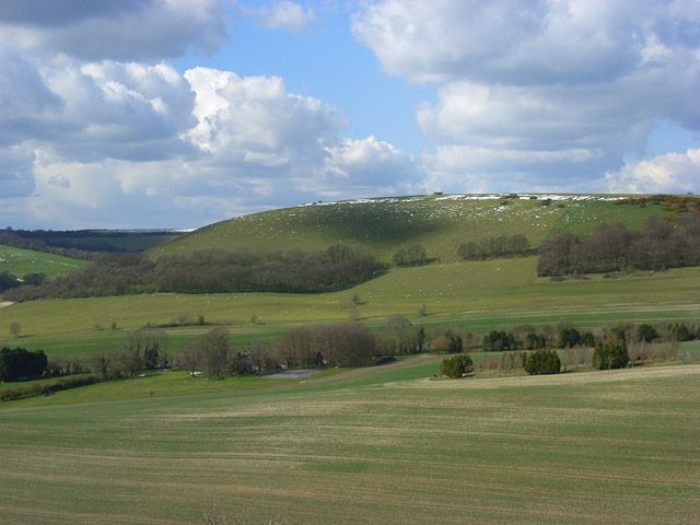 File:Walbury Hill - geograph.org.uk - 763923.jpg