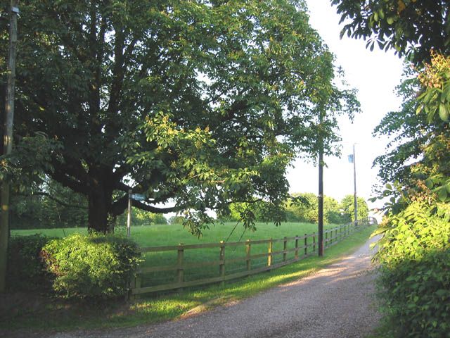 File:Wirswall - South Cheshire Way.jpg