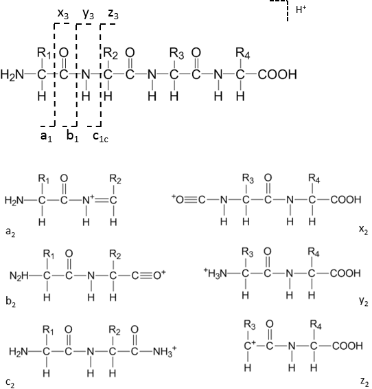 File:6 sequence ions.png