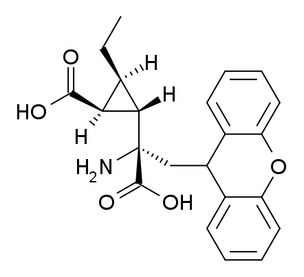 File:CECXG structure.png