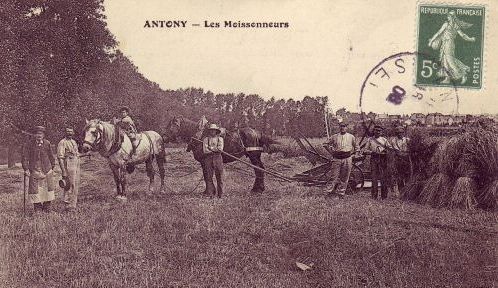 File:CP - Les moissoneurs en 1908.jpg