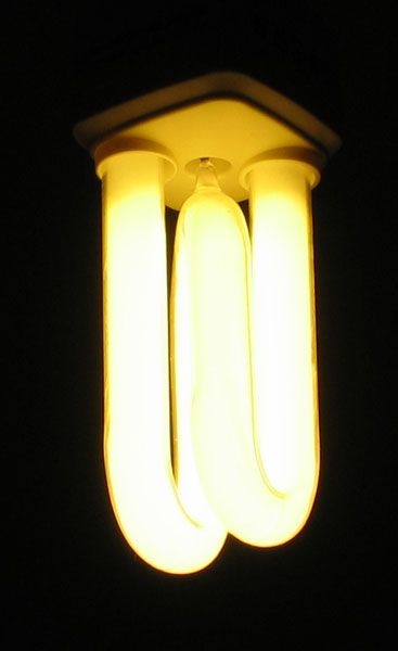 File:EnergySavingLightBulb.jpg