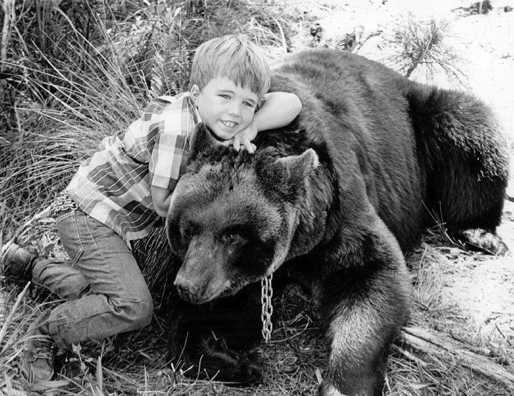 File:Gentle Ben premiere Clint Howard 1967.JPG