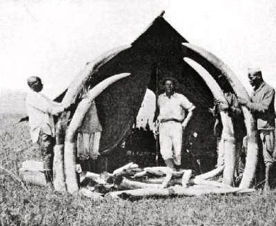 File:Ivory trader John Boyes.jpg