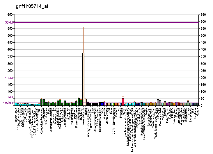 File:PBB GE JPH1 gnf1h05714 at fs.png