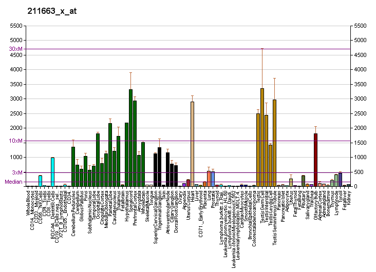 File:PBB GE PTGDS 211663 x at fs.png