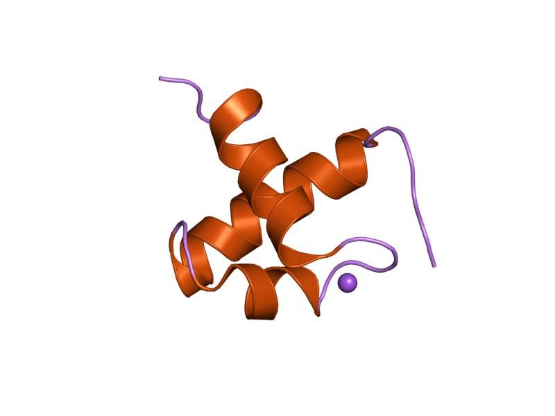 File:PDB 1gv5 EBI.jpg