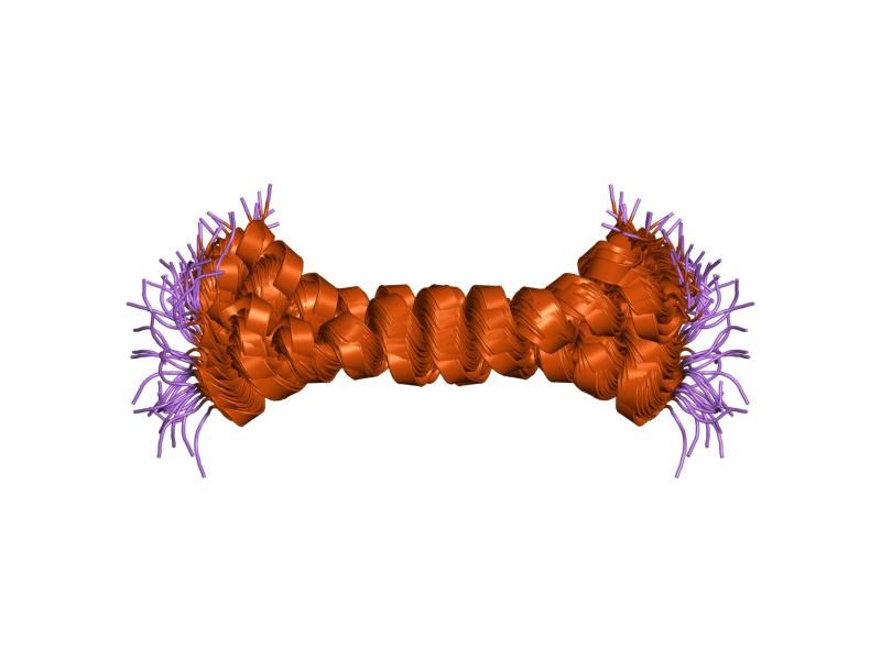 File:PDB 1hf9 EBI.jpg