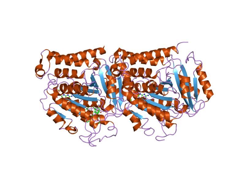 File:PDB 1jff EBI.jpg