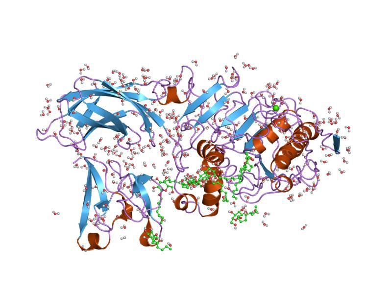 File:PDB 1lpb EBI.jpg