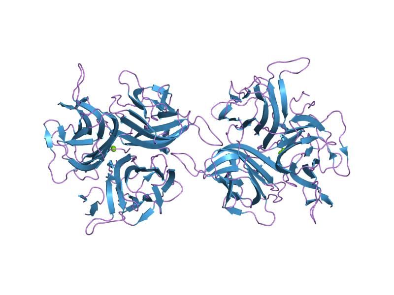 File:PDB 1osg EBI.jpg