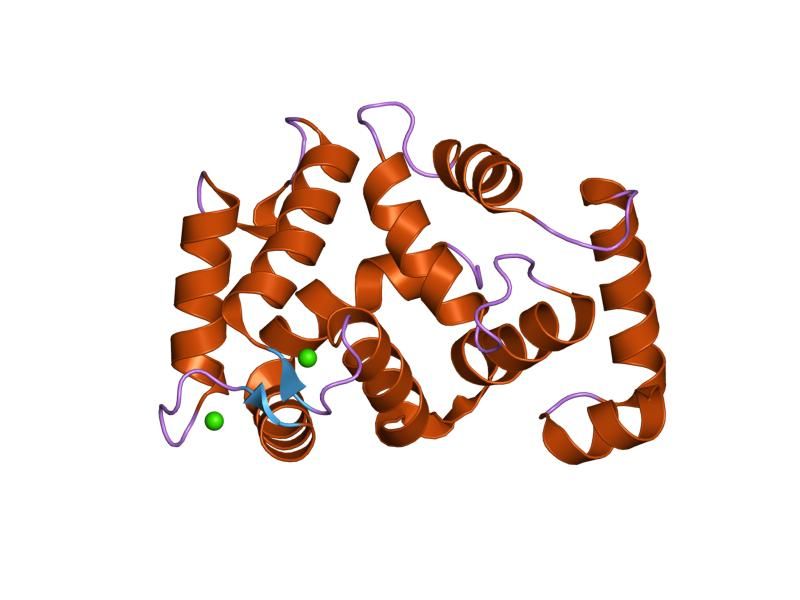 File:PDB 1s1e EBI.jpg