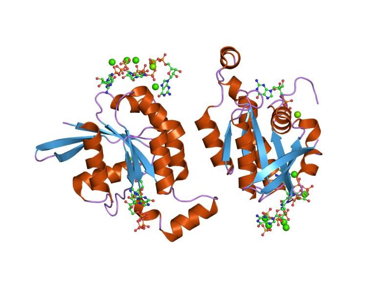 File:PDB 2c2h EBI.jpg