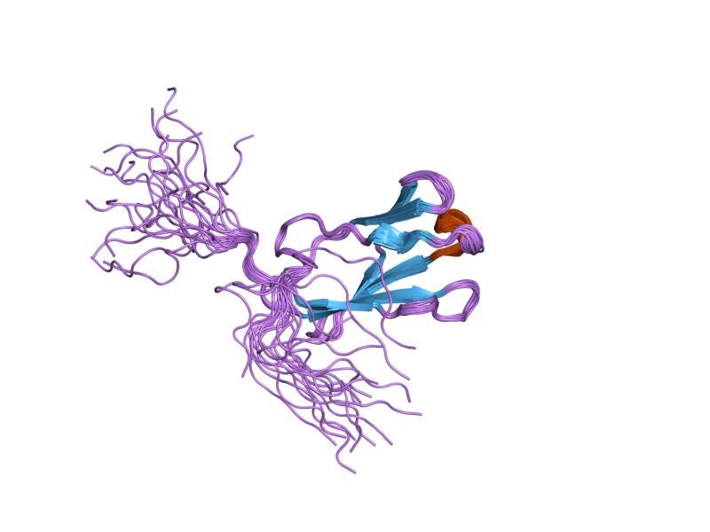 File:PDB 2dlg EBI.jpg