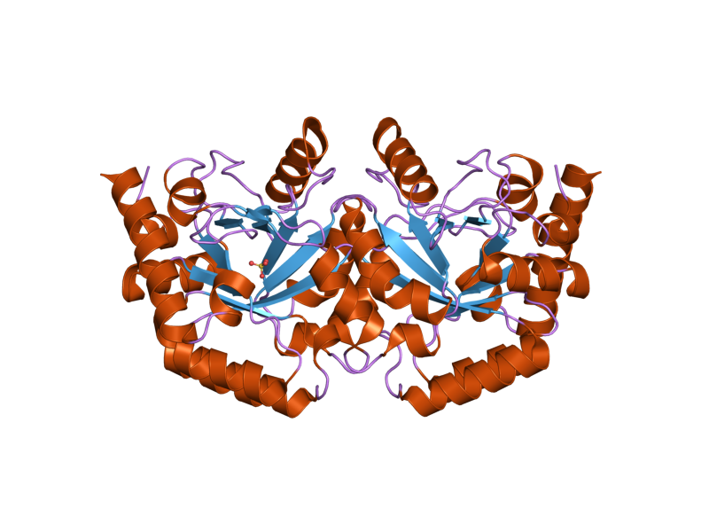 File:PDB 2eaw EBI.png