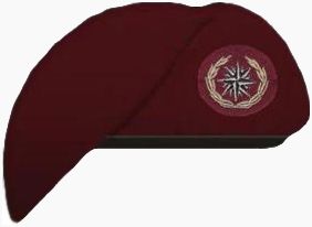 File:Recce Beret 2.jpg