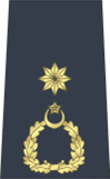 File:Wg Cdr Pakistan Air Force.png