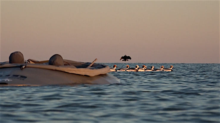 File:2 man Kalash Layout Boat.png