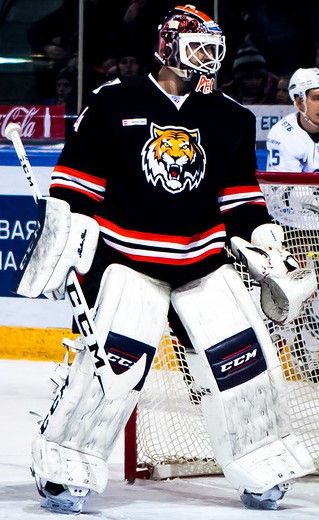 File:Alexander Pechursky 2016-01-29 (cropped).jpg