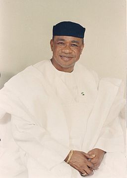 File:Ambassador Ogbuewu.jpg