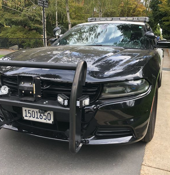 File:California Highway Patrol Dodge Charger.png