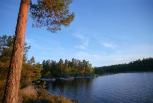 File:Glaskogen, Stora Glå.jpg