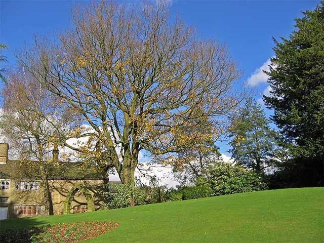 File:Marsden Hall - geograph.org.uk - 402304.jpg