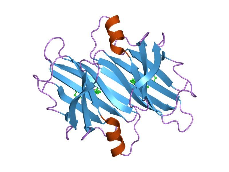 File:PDB 1dvx EBI.jpg