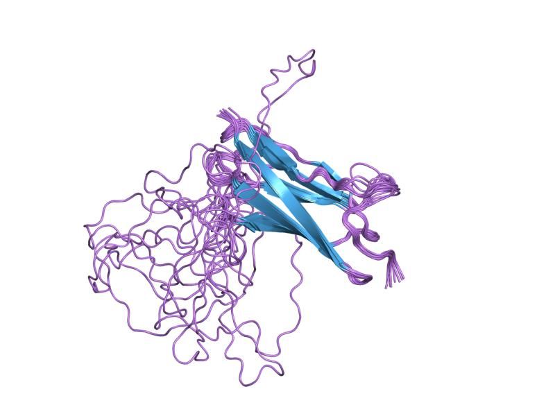 File:PDB 1gxe EBI.jpg