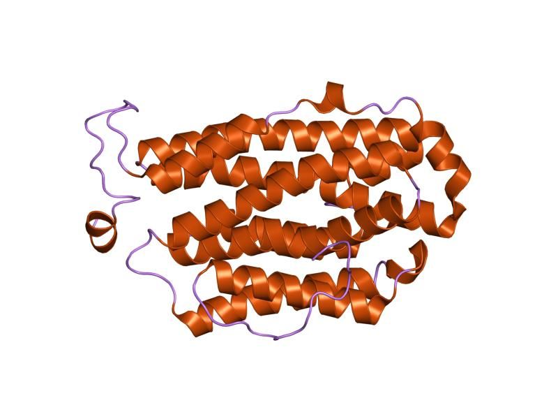 File:PDB 1h0n EBI.jpg