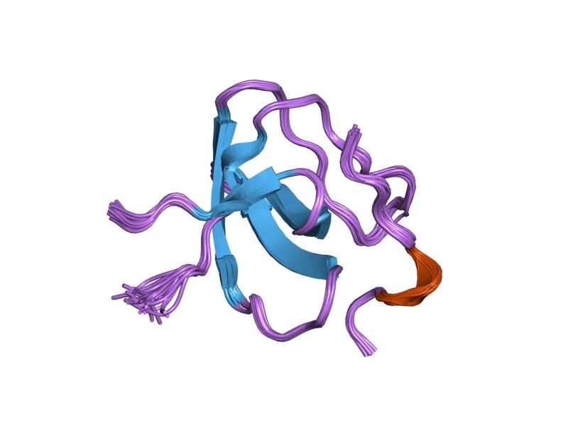 File:PDB 1h3h EBI.jpg