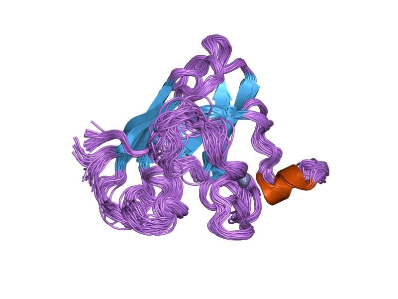 File:PDB 1kmg EBI.jpg