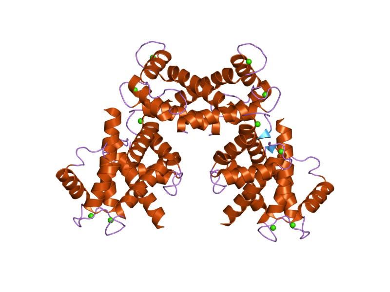 File:PDB 1odb EBI.jpg