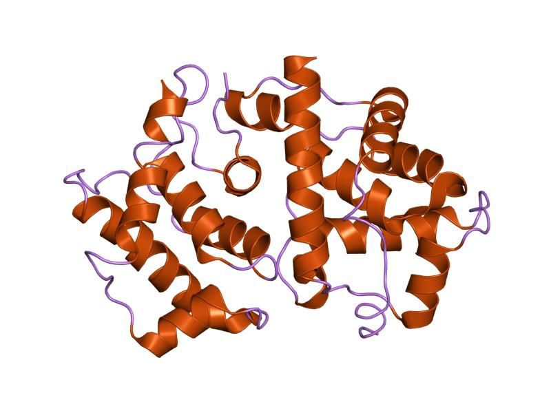 File:PDB 1tx9 EBI.jpg