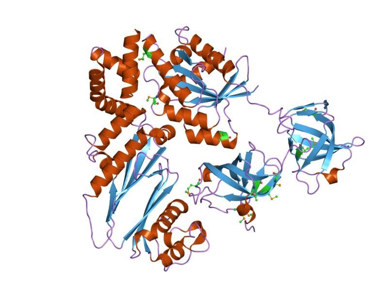 File:PDB 1xb2 EBI.jpg