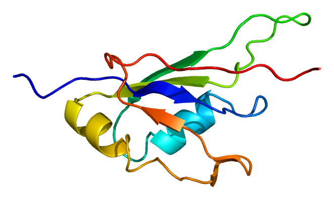 File:Protein RBM19 PDB 2cpf.png