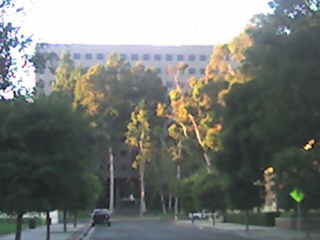 File:BuncheHall,UCLA.jpg