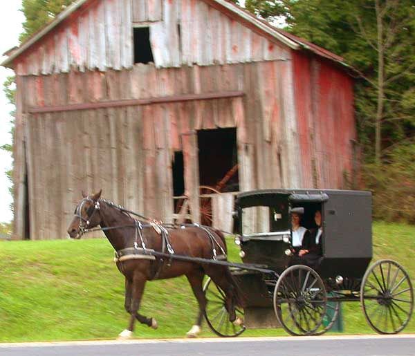 File:DSCN4624 holmescountyamishbuggy e.jpg