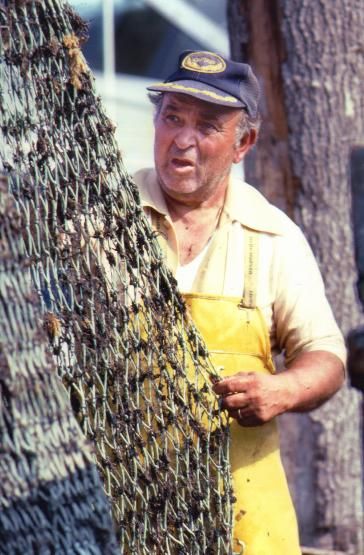 File:Long Island fisherman.jpg