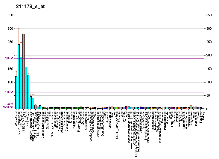 File:PBB GE PSTPIP1 211178 s at fs.png