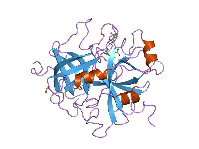 File:PDB 1hdt EBI.jpg