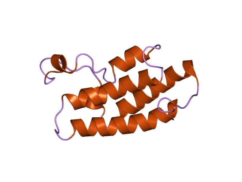 File:PDB 1n72 EBI.jpg