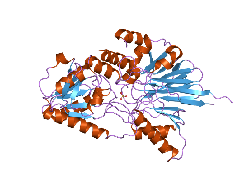 File:PDB 2i7v EBI.png