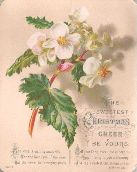 File:Sockl & Nathan Christmas Card c1895.jpg