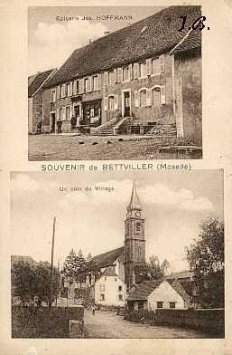 File:Bettviller.jpg