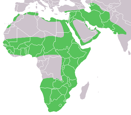 File:Caracal distribution.png